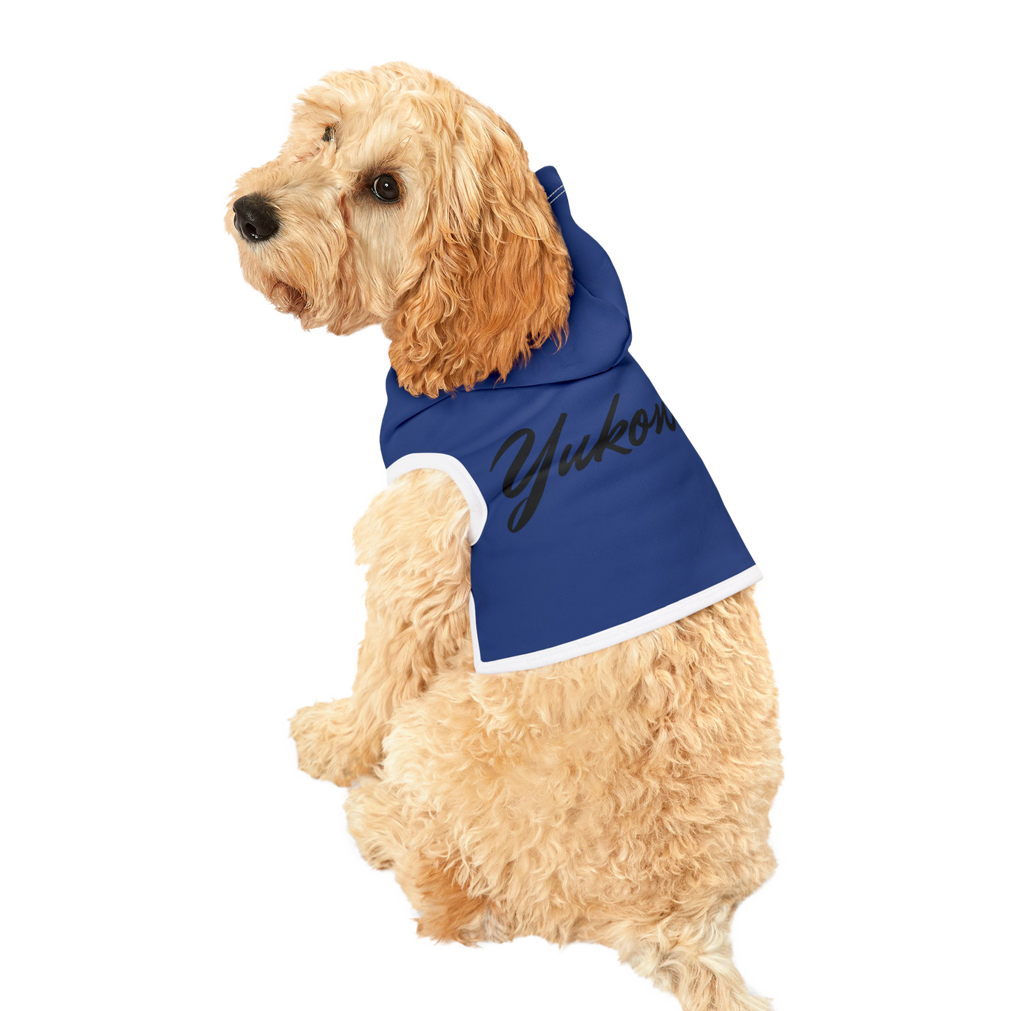 PetVibe™ Pet Hoodie - Stylischer Hoodie für Hund oder Katze