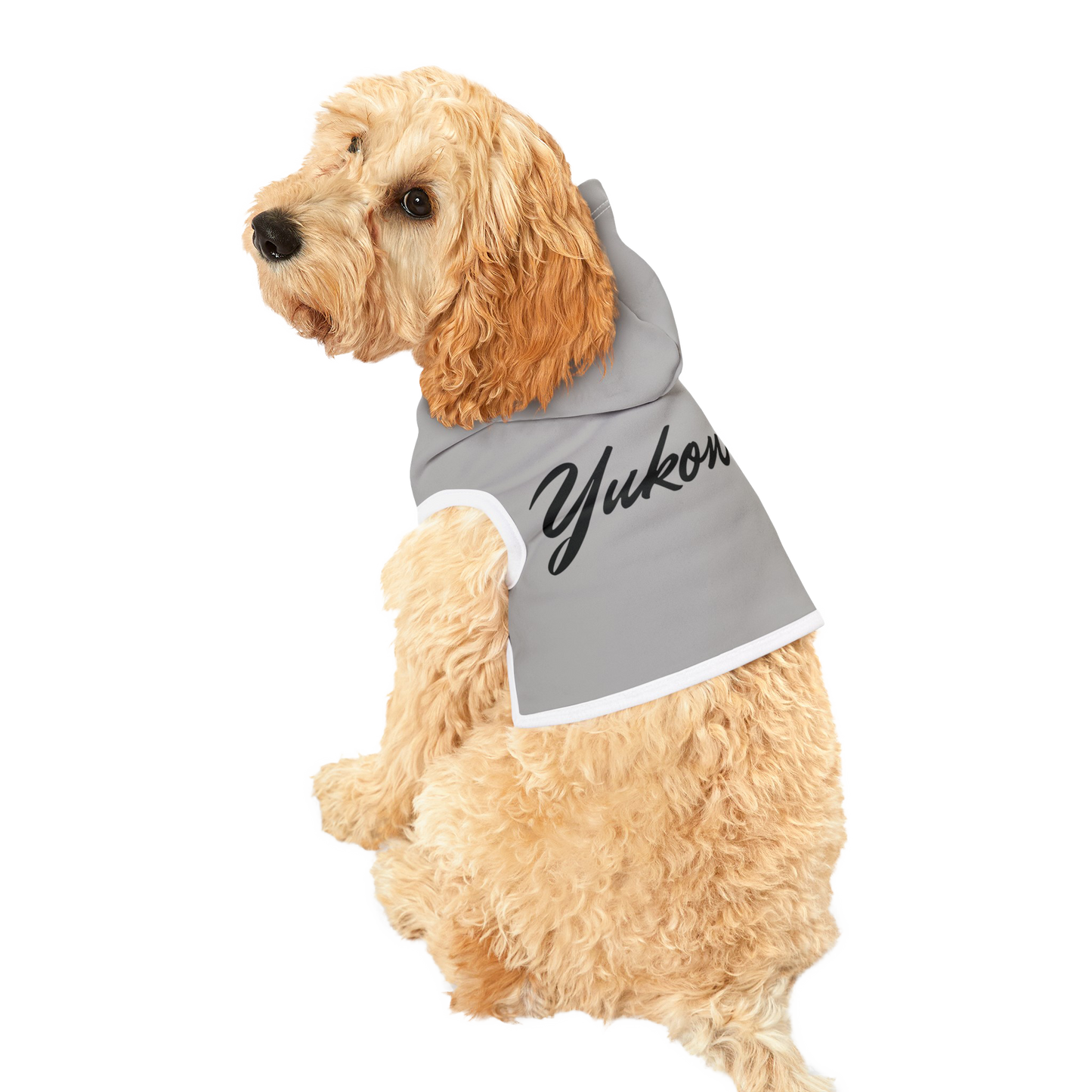 PetVibe™ Pet Hoodie - Stylischer Hoodie für Hund oder Katze