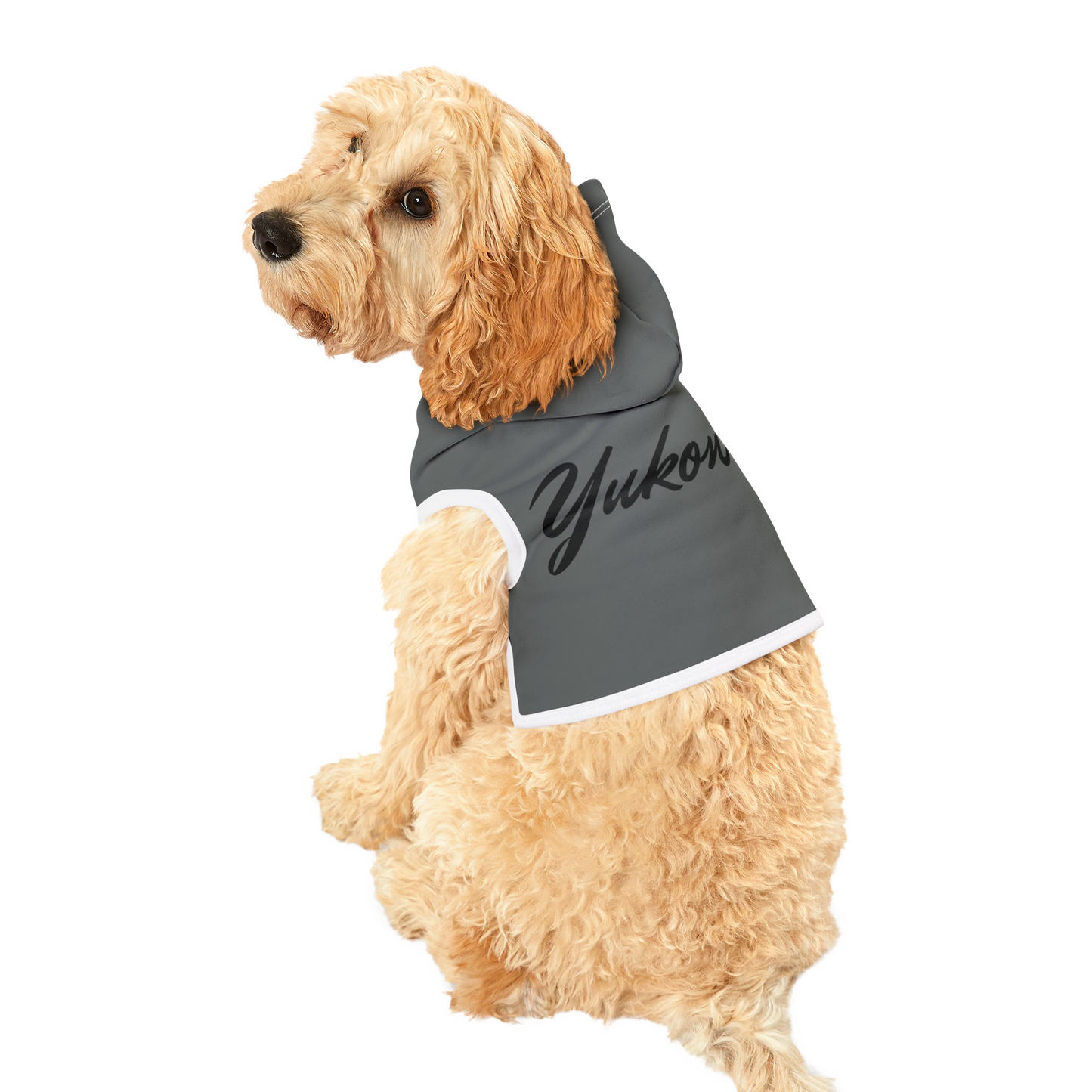 PetVibe™ Pet Hoodie - Stylischer Hoodie für Hund oder Katze