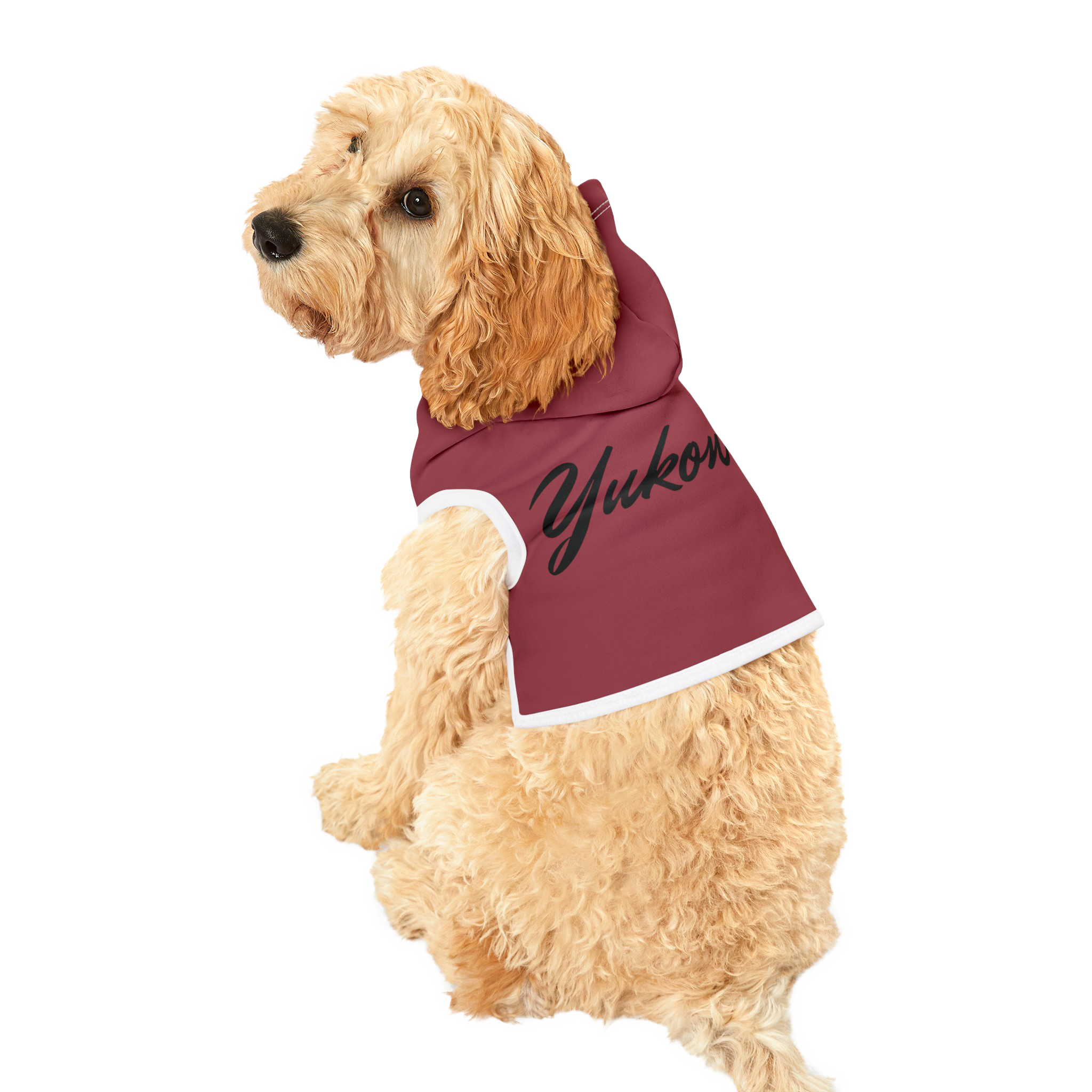 PetVibe™ Pet Hoodie - Stylischer Hoodie für Hund oder Katze