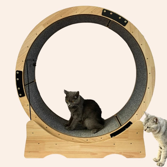 Premium Wooden Cat Treadmill - Fitness and Play