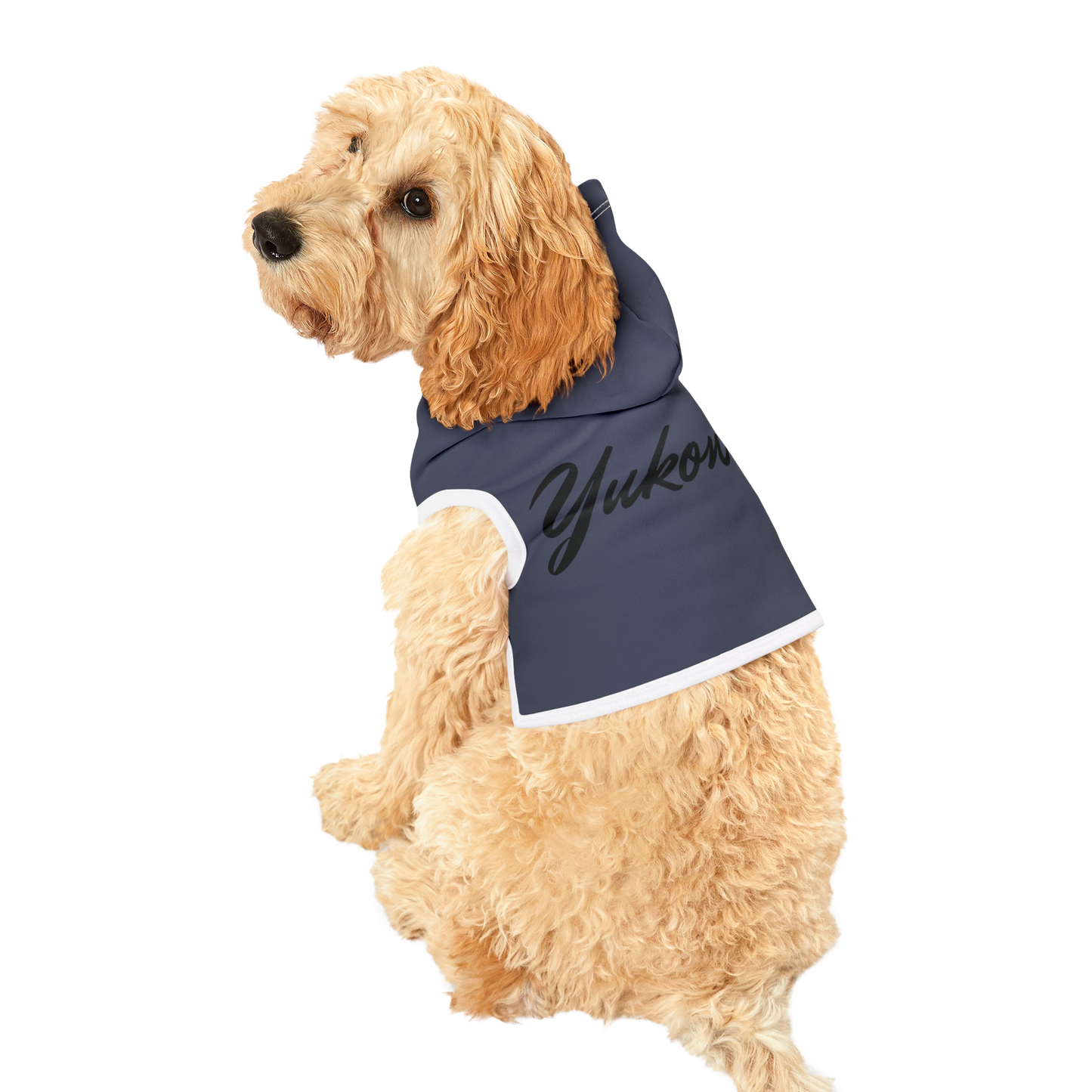 PetVibe™ Pet Hoodie - Stylischer Hoodie für Hund oder Katze