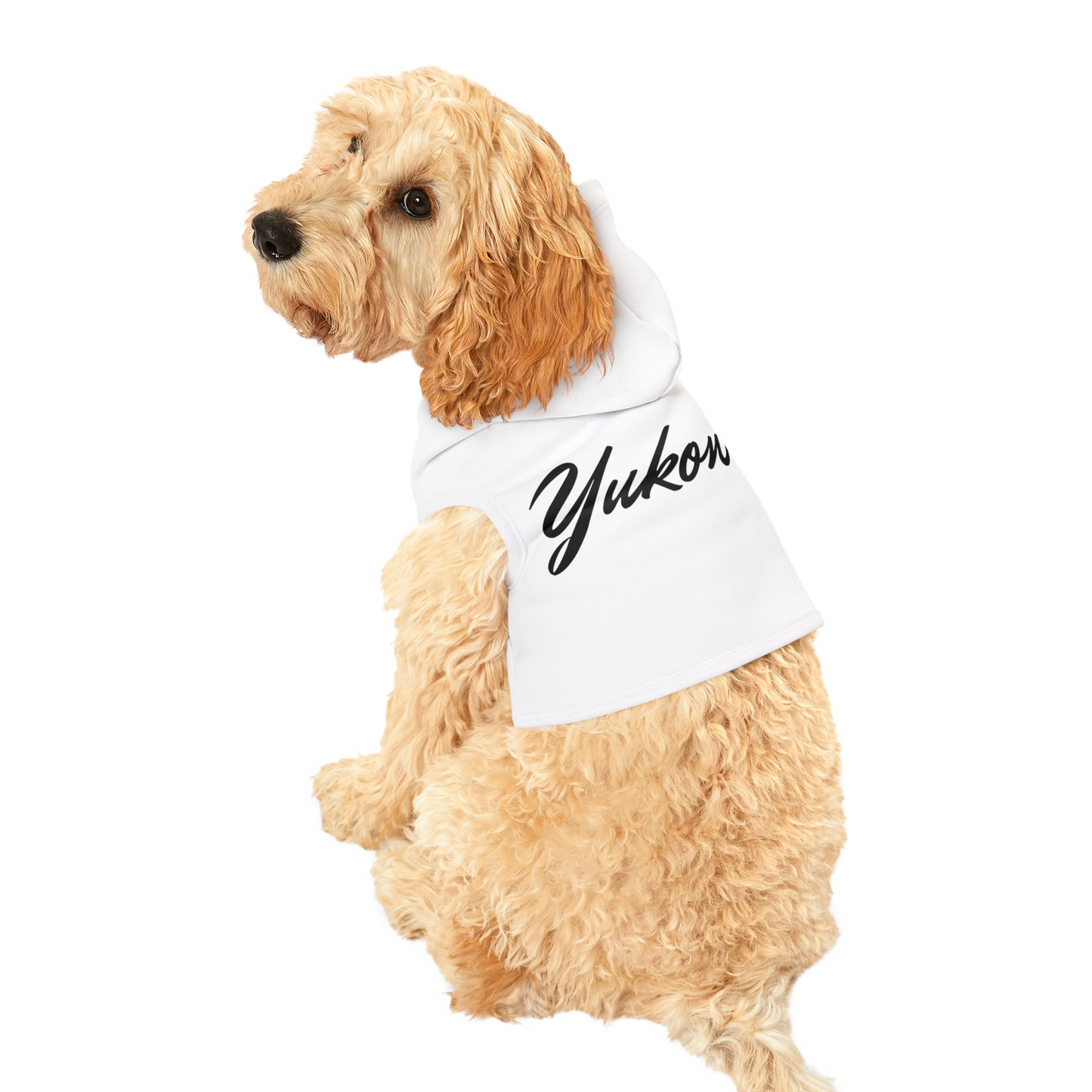 PetVibe™ Pet Hoodie - Stylischer Hoodie für Hund oder Katze